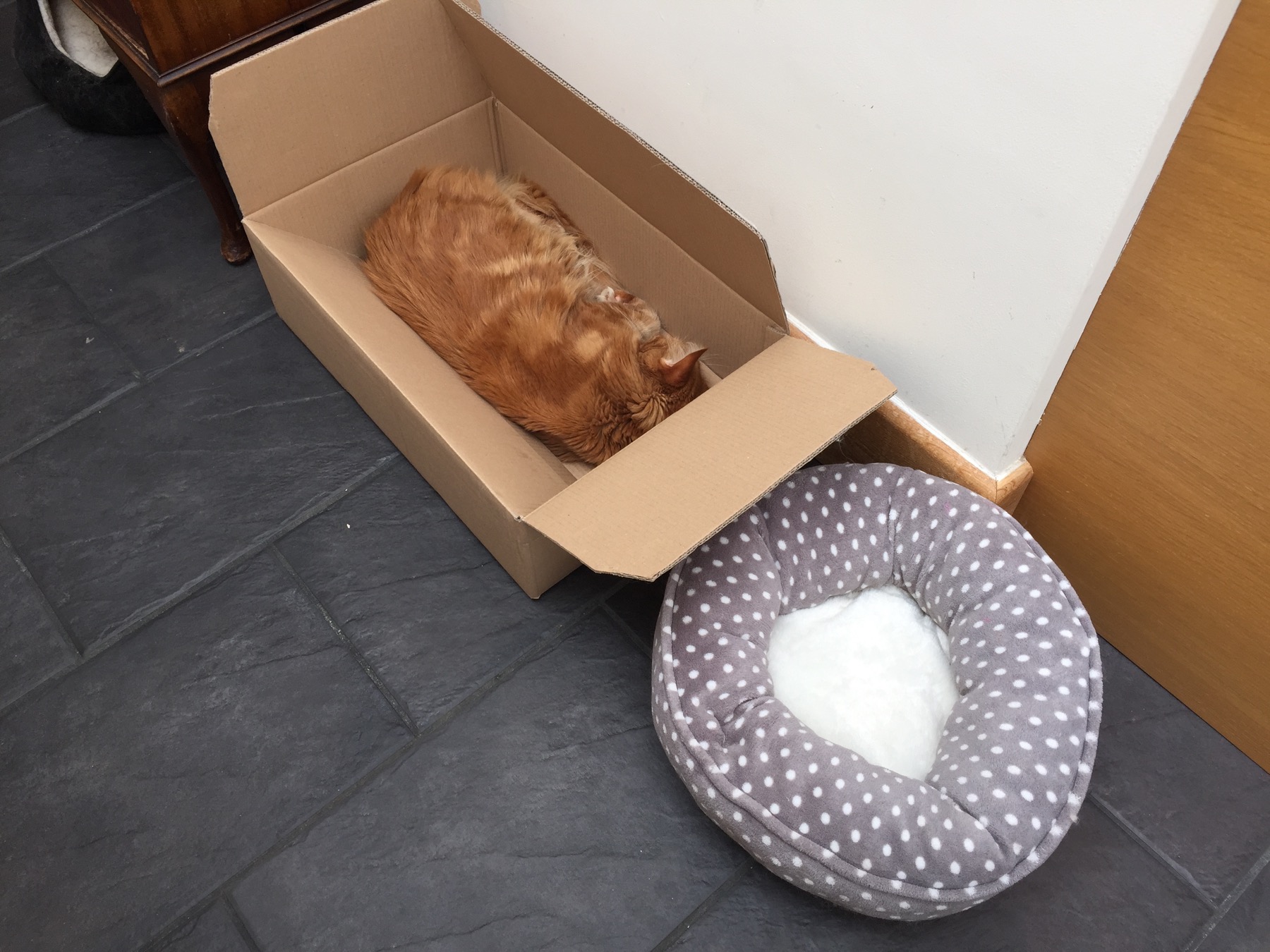 A ginger cat asleep in a cardboard box beside an empty cat bed