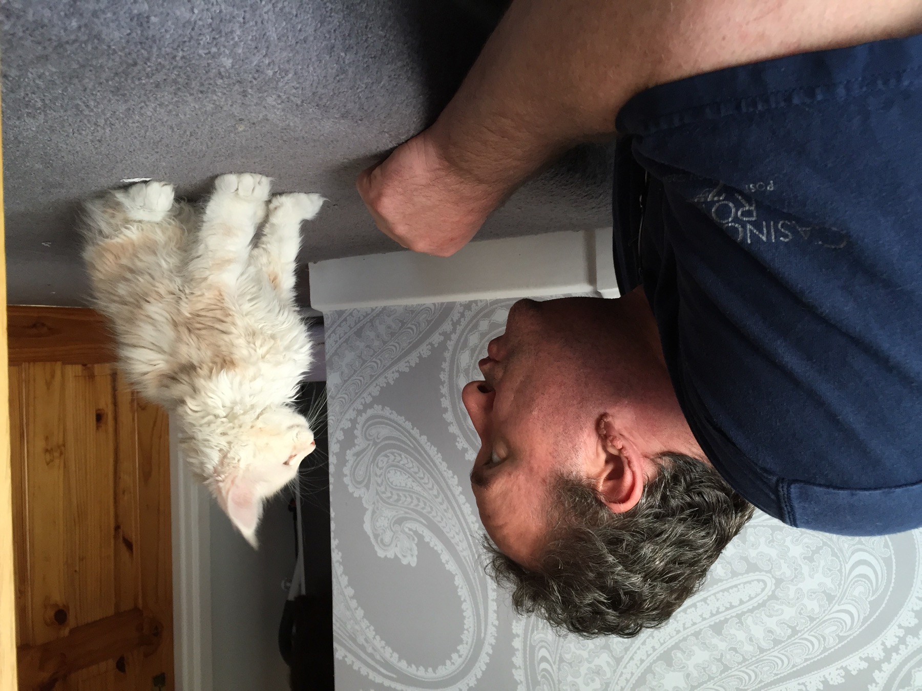 Martin and Taiko as a kitten looking intently at one another